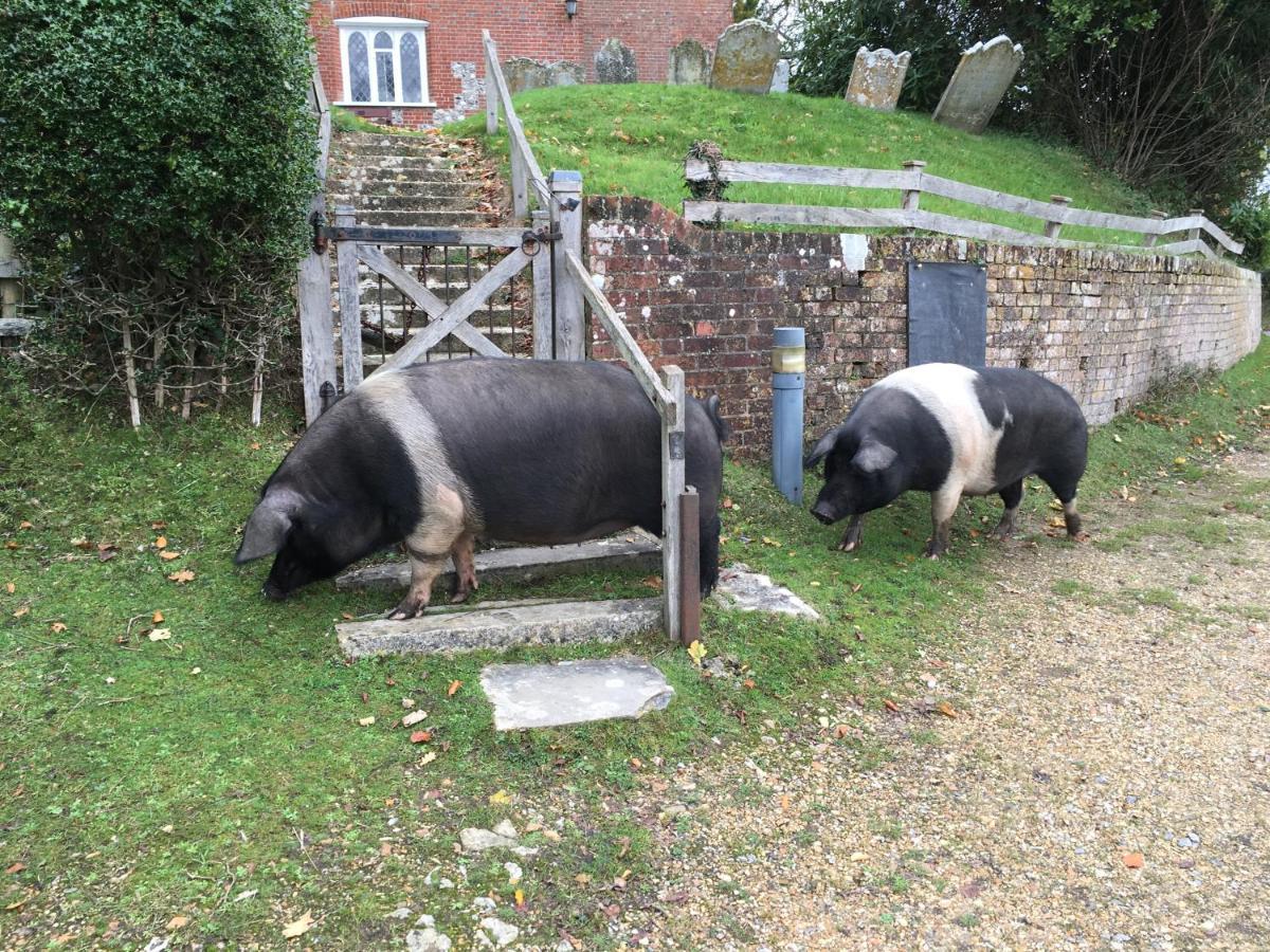No 64 Bed And Breakfast Lymington Buitenkant foto